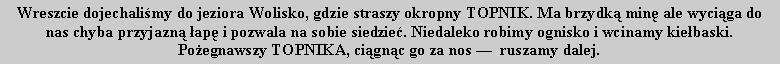 Pole tekstowe: Wreszcie dojechali�my do jeziora Wolisko, gdzie straszy okropny TOPNIK. Ma brzydk� min� ale wyci�ga do nas chyba przyjazn� �ap� i pozwala na sobie siedzie�. Niedaleko robimy ognisko i wcinamy kie�baski. Po�egnawszy TOPNIKA, ci�gn�c go za nos �  ruszamy dalej.