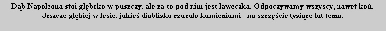 Pole tekstowe: D�b Napoleona stoi g��boko w puszczy, ale za to pod nim jest �aweczka. Odpoczywamy wszyscy, nawet ko�.Jeszcze g��biej w lesie, jakie� diablisko rzuca�o kamieniami - na szcz�cie tysi�ce lat temu.
