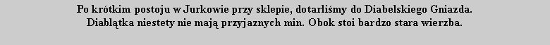 Pole tekstowe: Po kr�tkim postoju w Jurkowie przy sklepie, dotarli�my do Diabelskiego Gniazda. Diabl�tka niestety nie maj� przyjaznych min. Obok stoi bardzo stara wierzba.